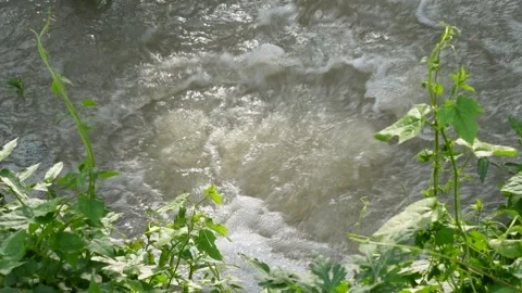A close-up view of water flowing rapidly Stock Footage 314589849