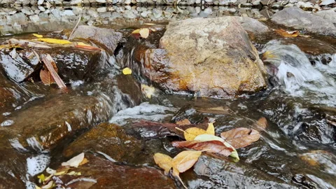 Close up view on water stream on the mountain river. Stock Footage 243789680