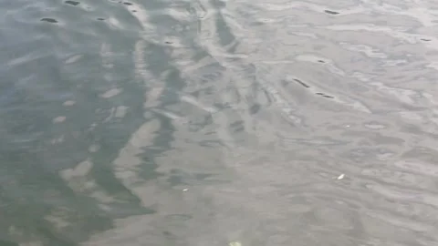 Close Up View of Water Surface with Gentle Ripples and Waves Stock Footage 335581211
