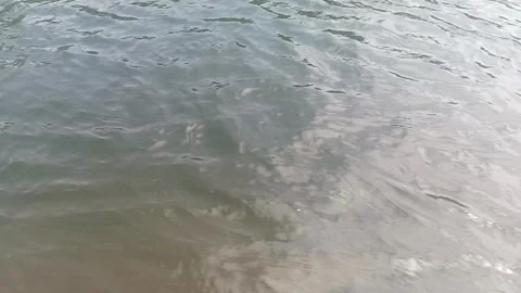Close Up View of Water Surface with Gentle Ripples and Waves Stock Footage 335582164
