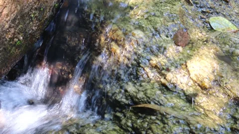 Close-up view of a waterfall flowing on a rock. with a sensitive focus. Stock Footage 187756790