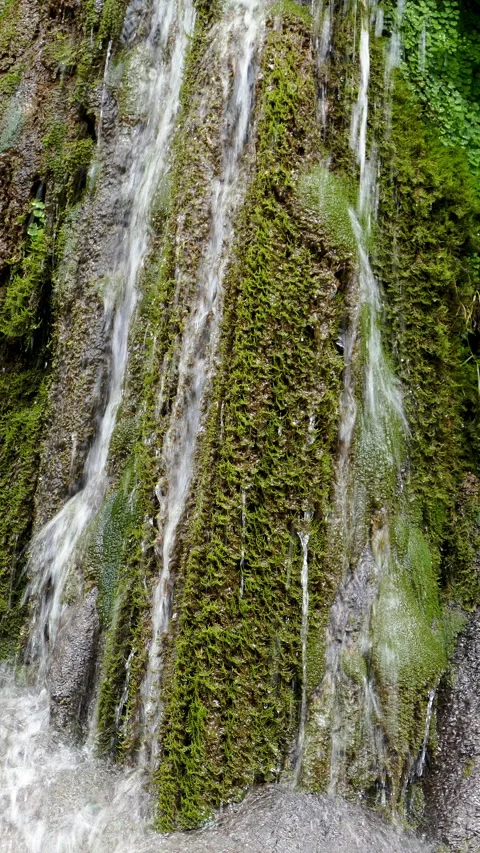 Close Up view waterfall in vertical format. 4k resolution. Stock Footage 292902271