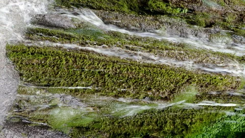 Close Up view waterfall in vertical format. 4k resolution. Video stock 292902629