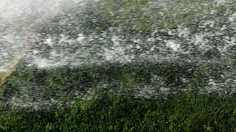 Close Up view waterfall in vertical format. Video stock 294595018