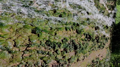 Close Up view waterfall in vertical format. 4k resolution. 스톡 동영상 303511089