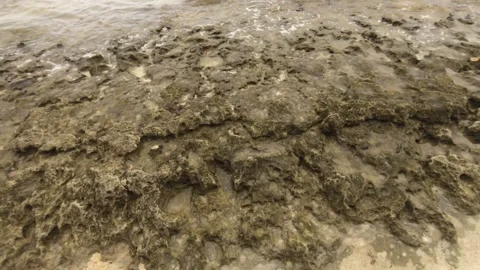 Close up view of wavy ocean salt sea water pounding turbulence onto the coral te Stock Footage 245442943