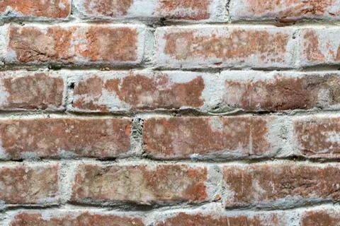 A close-up view of a weathered brick wall with faded red bricks and gray mortar Stock-Fotos