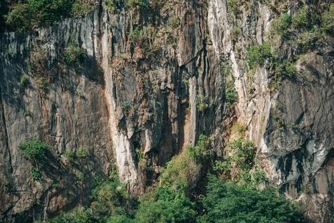 Close view of a weathered limestone karst cliff covered with tropical vegetation Stock-Fotos