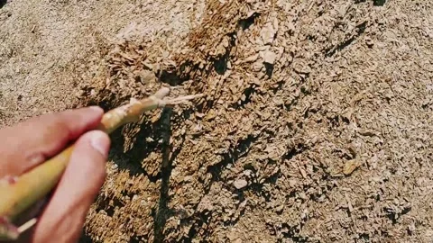 Close Up View Of Weathered Rock Formations In Arid Landscape Stock Footage 333611698