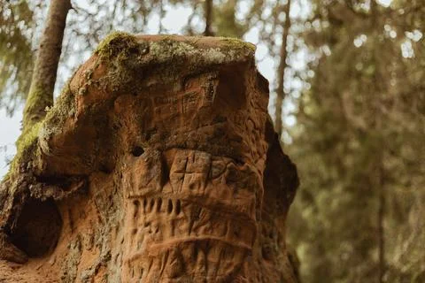 Close-up view of a weathered tree stump with intricate carvings and moss, s.. Фото