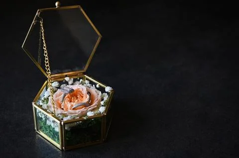 Close up view of wedding rings in rustic box with plants inside 写真素材