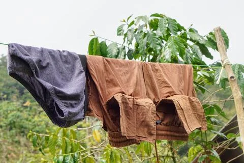 Close-up view of wet laundry hanging with a clothesline against a background Stock Photos