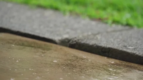 Close-Up View of Wet Pavement and Adjacent Bright Green Grass 動画素材 315640671
