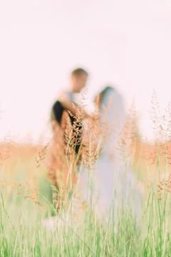 The close-up view of the wheatears at the blurred background of the hugging Stock Photos
