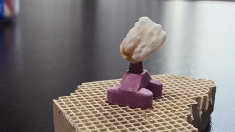 Close up view of white ceramics glaze on prosthesis of teeth in workplace in Video stock 136026350