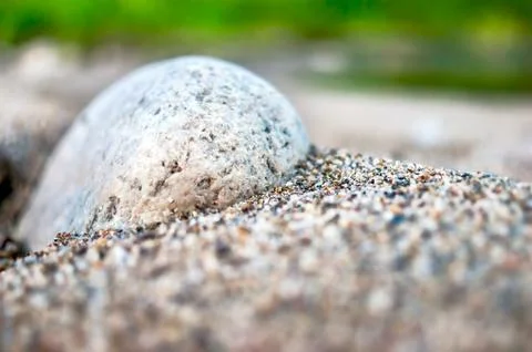 Close-up View of White Cobble in Coarse Sand. Travel Concept. Stock Photos