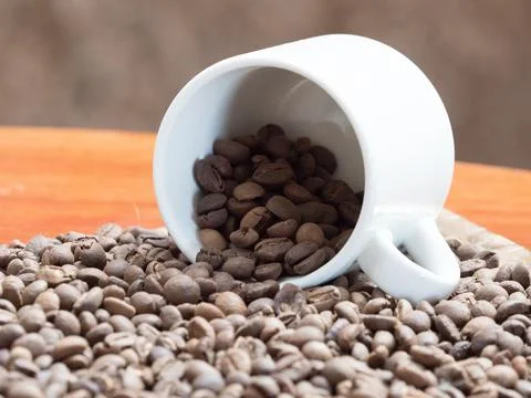 Close view of a white cup on its side with coffee beans spilling out of it Stock Photos
