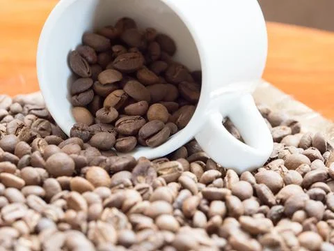 Close view of a white cup on its side with coffee beans spilling out of it Stock Photos