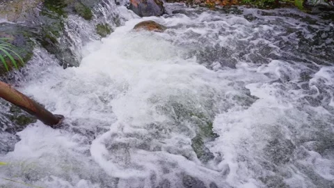 Close-up view of white rapids surging between rocks forming foam Stock Footage 340796941
