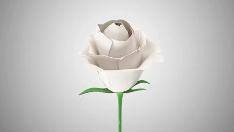 Close-up View of White Rose on gradient background Stock-Illustration