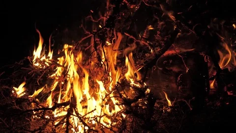 Close View Of Wood Burning In Red Hot Fire Pit At Evening Night 4K Stock Footage 80733664