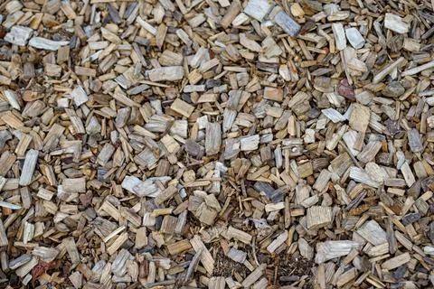 Close-up View of Wood Chips Stock Photos