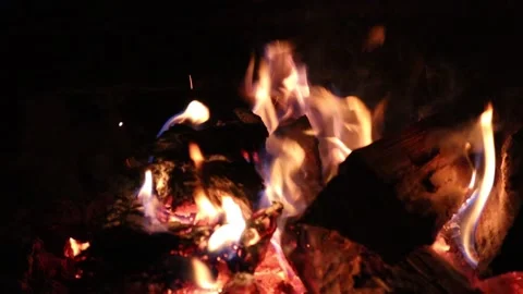 Close Up View of Wood Logs Burning Warmly in Cozy Fireplace Stock Footage 344101704