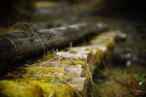Close up view of Wooden mossy Log Bridge Stock Photos