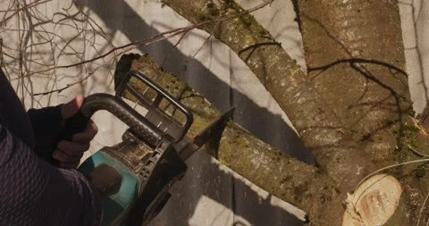 Close-up view of a worker sawing a tree branch with an electric chainsaw in a Stock Footage 331873979