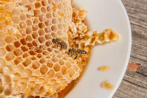 Close up view of the working bee on the honeycomb with sweet honey. Sweet hon Stock Photos