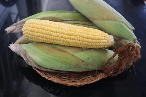 Close view of yellow corn cob Stock Photos