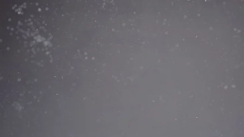 Close up view of yellow eggs falling into water isolated on white slow motion Stock Footage 126060909