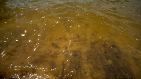 Close up view of a yellow water texture.  Видео 123712878