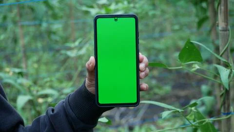 Close-up view of a young man in a park and using a smartphone. Stock Photos