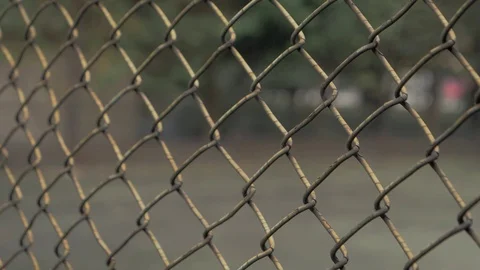 Close-up view of young man's hands shaking metal mesh at fenced area. Helpless Stock Footage 100144751