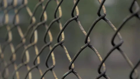 Close-up view of young woman's hands grabing metal mesh at fenced area. Stock Footage 100144626