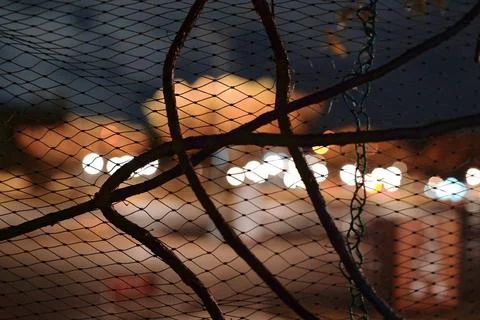 Close-up Vines on Night Net Foto stock