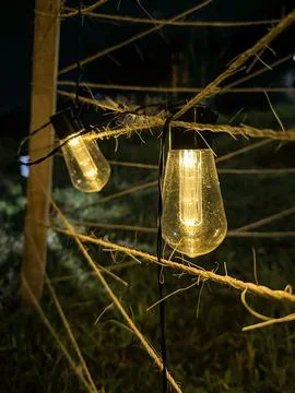 Close-up of Vintage String Lights in the Night Garden Stock Photos