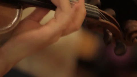 Close up viola playing notes on neck Stock-Footage 86532101