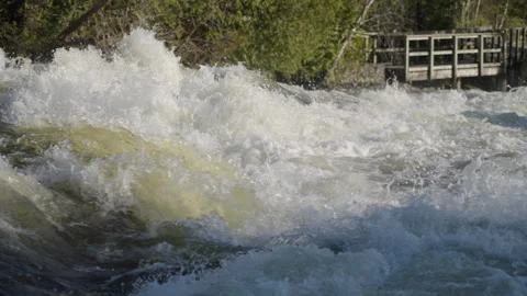 Close up of Violent White Water Rapids at Sauble Falls Vidéo 341094212
