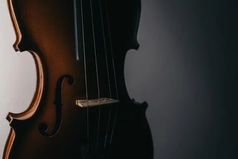 Close violin and shadows Stock Photos