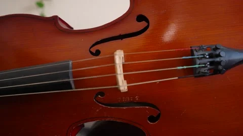 Close up of violin body and strings in warm light 库存影片 347813809