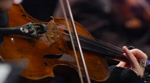 Close up  of a Violin  in a concert Видео 59347505