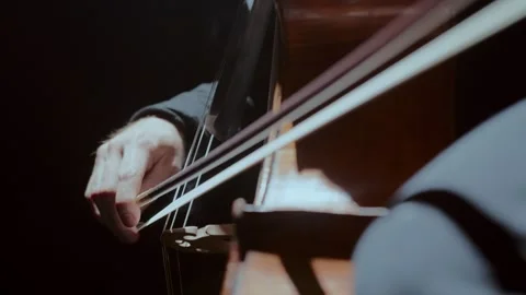 Close up of violin in man hands Stock Footage 259967802