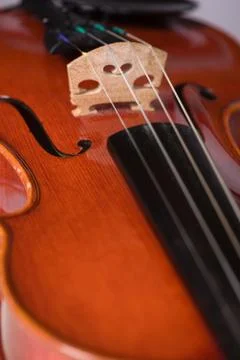 Close Up Violin Stock Photos