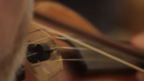 Close Up Violin Player Stock-Footage 86531154
