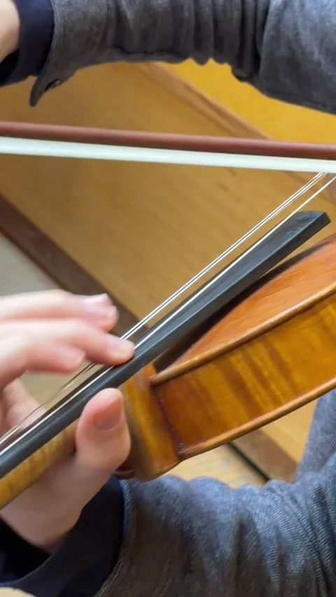 Close up violin playing performance Stock Footage 334206479