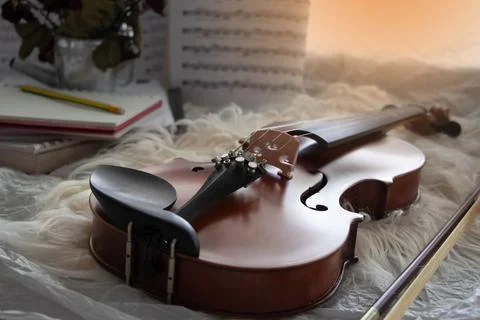 Close up Violin put in front of blurred sheet note,on grunge surface backgrou Foto stock