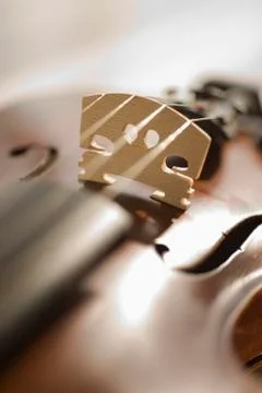Close up of violin strings Foto stock