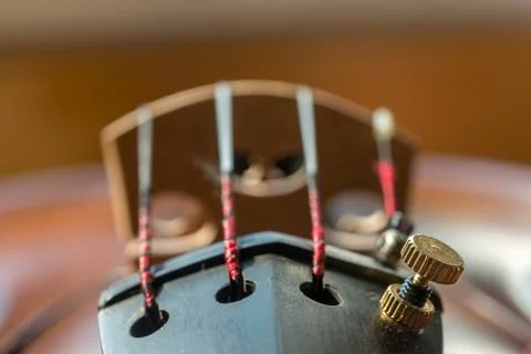 Close up of violin strings Stock Photos